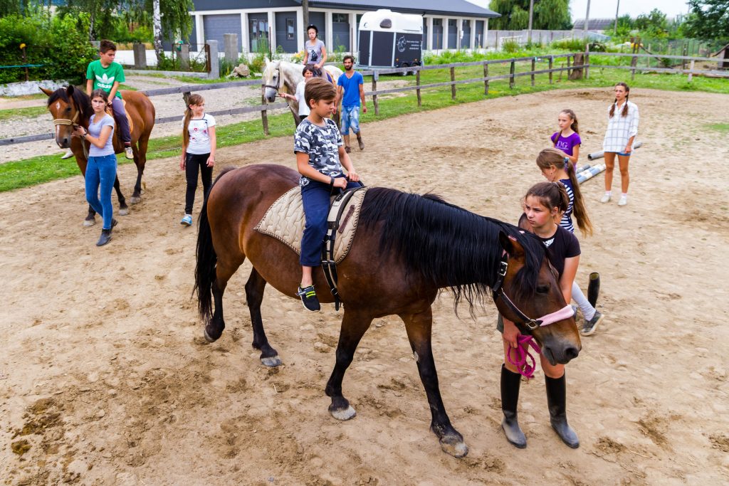 Find Horse Rides in Perth, Horse Riding Lessons, Beach Rides, Horse