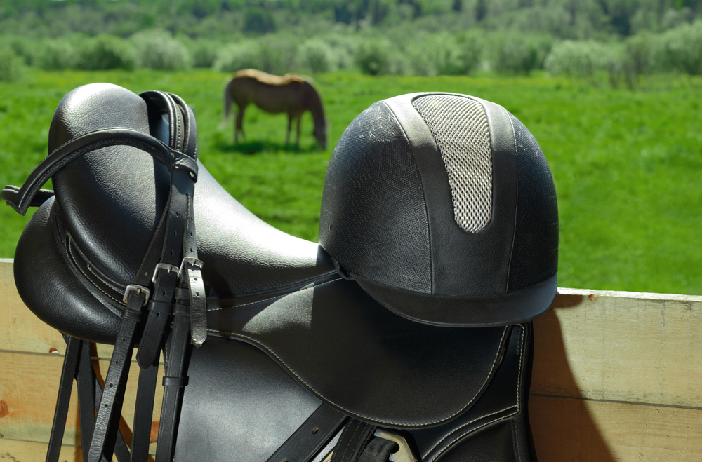 How To Choose A Horse Riding Helmet Horse Riding Now How To Choose A Horse Riding Helmet Horse Riding Now