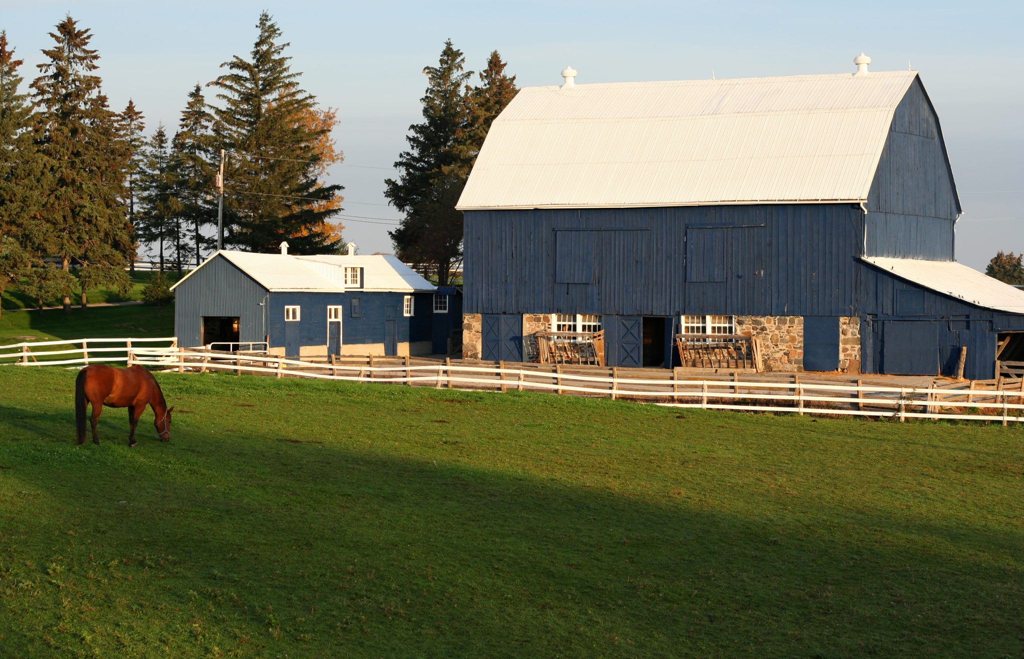 Creating a Safe and Comfortable Environment for Horses