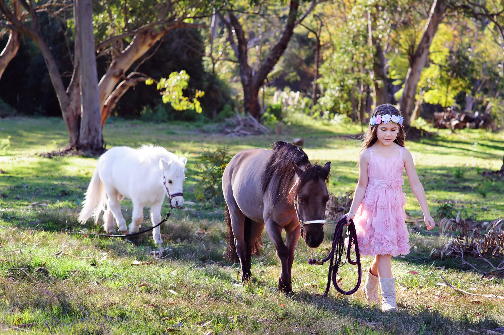 How to Organise a Pony Party?
