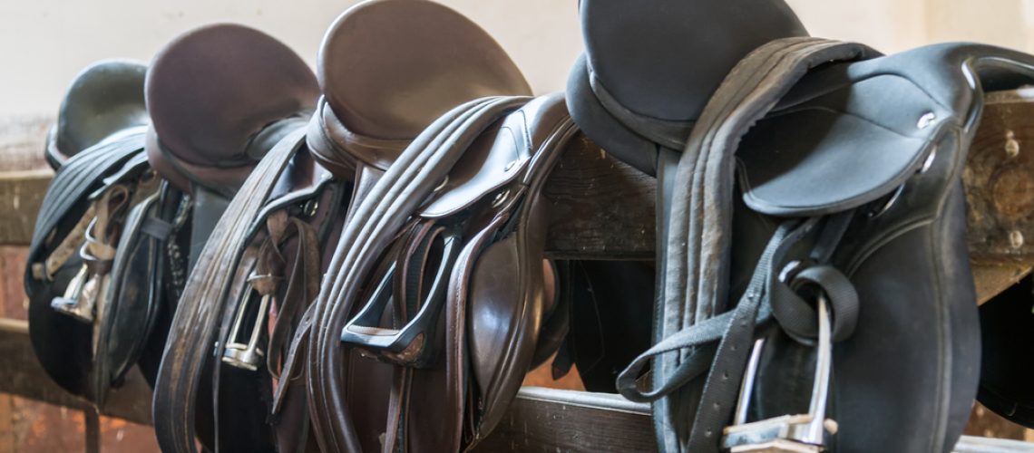 Choosing a horse riding saddle